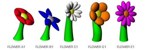 Auswahl Flowers